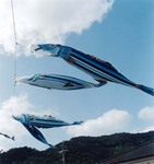 yoichi nagano_esq01.jpg